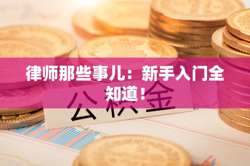 南昌律师那些事儿：新手入门全知道！