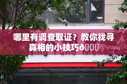 南昌哪里有调查取证？教你找寻真相的小技巧😎
