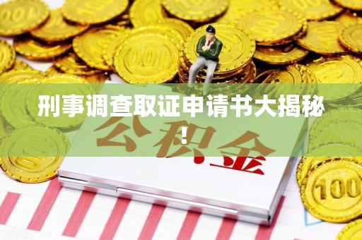 南昌刑事调查取证申请书大揭秘！