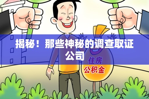 南昌揭秘！那些神秘的调查取证公司