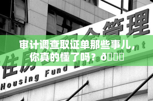 南昌审计调查取证单那些事儿，你真的懂了吗？😎