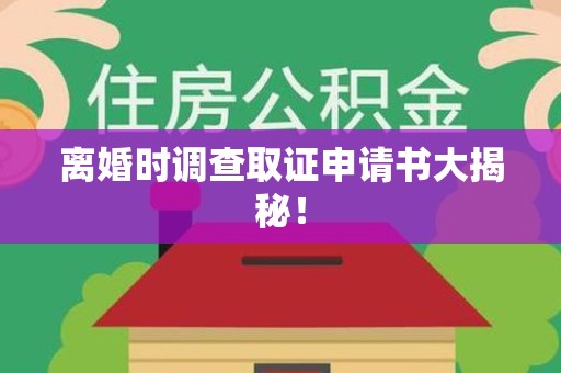南昌离婚时调查取证申请书大揭秘！